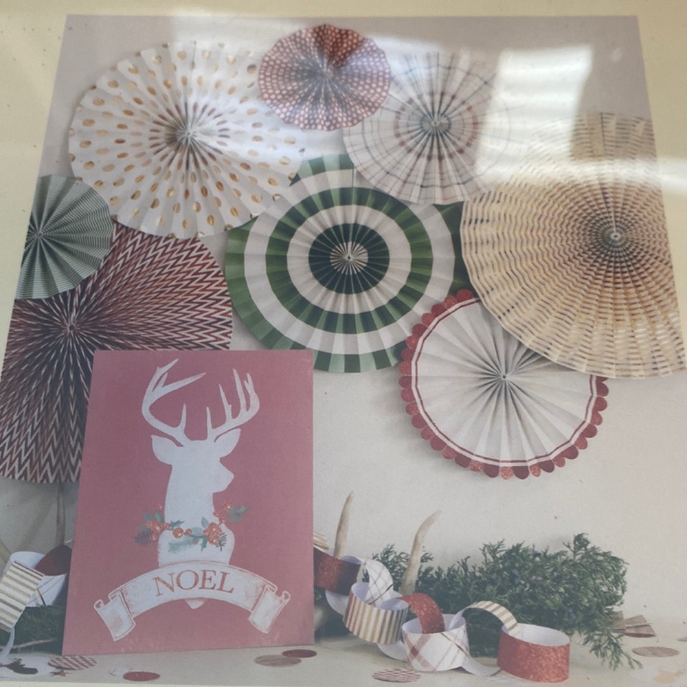 NEW My Mind’s Eye party fans decorations